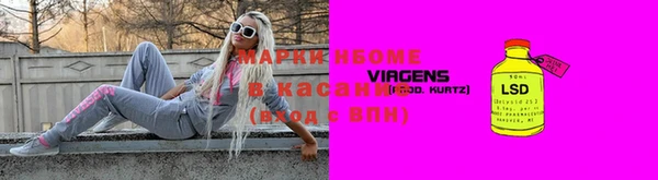 стаф Майский