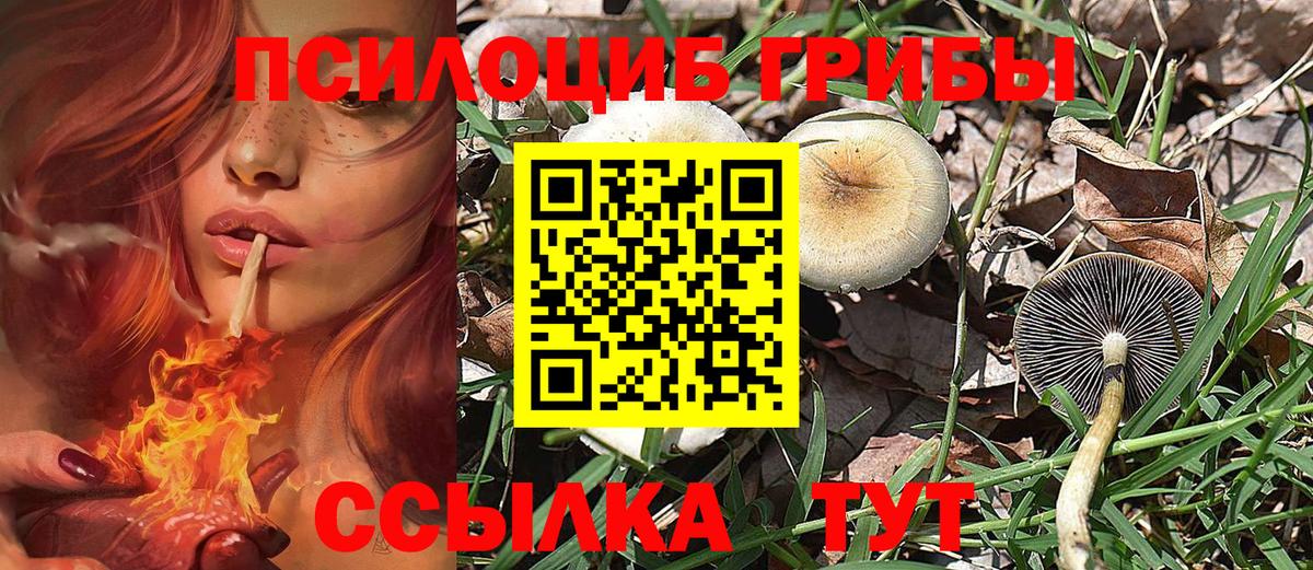 Псилоцибиновые грибы Psilocybine cubensis Туапсе