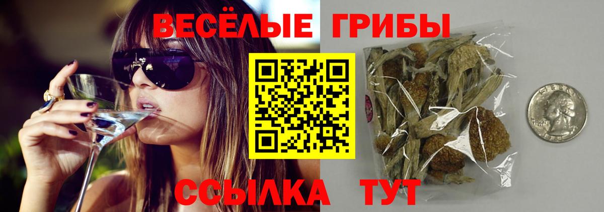 Туапсе  Псилоцибиновые грибы ЛСД  Вход с VPN 